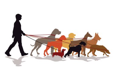 Köpek yürüyüş için köpek Servisi