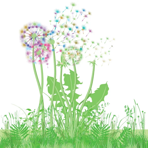 Dandelion in the meadow illustration — Stock Vector