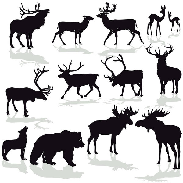 Deer and moose, reindeer silloette vector image 