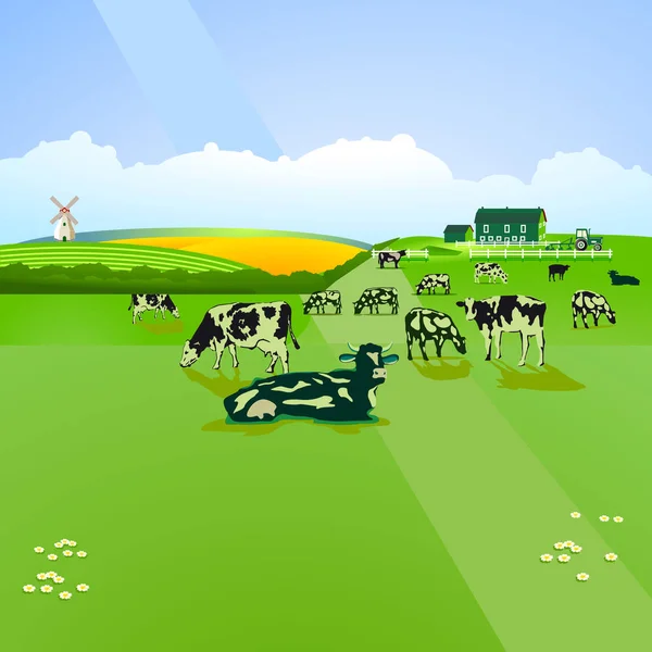 牛在牧场，图上 — 图库矢量图片