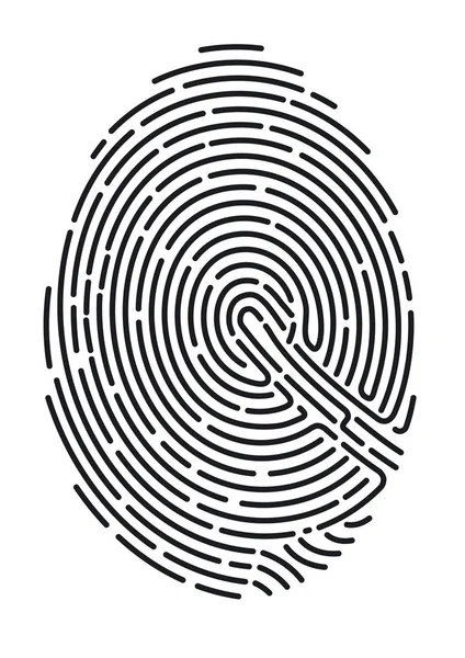 Fingerprint. Secure identification — Stock Vector