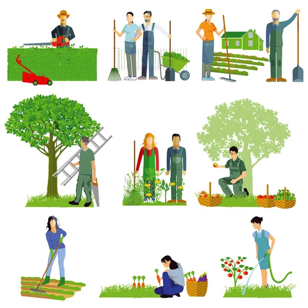 Jardinería. Herramientas de jardín, mantenimiento del jardín — Vector de stock