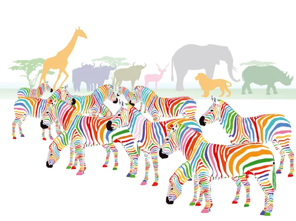 Bunte Zebras in der Savanne — Stockvektor