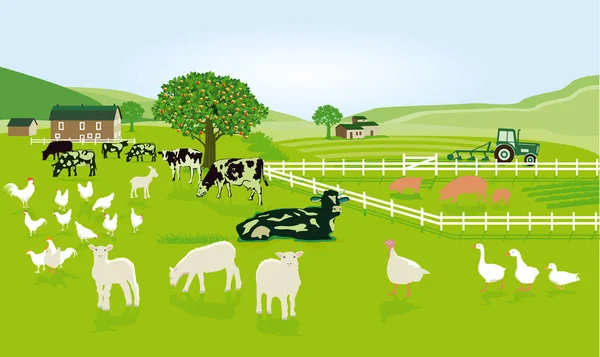 Agricultura Com Animais Pasto — Vetor de Stock