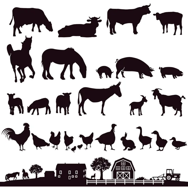 Haszonállatok Farm Illusztráció — Stock Vector