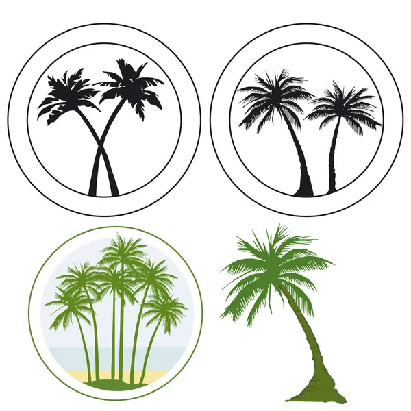 Group Palm Logos Tropical Tree — Stock Vector