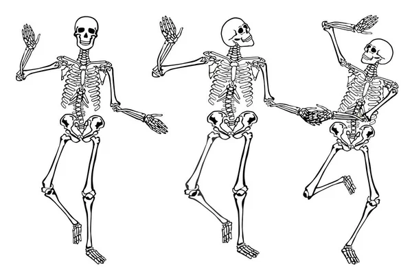 Funny Dancing Skeletonsisolated White Background Vector Illustration Set — Stock Vector