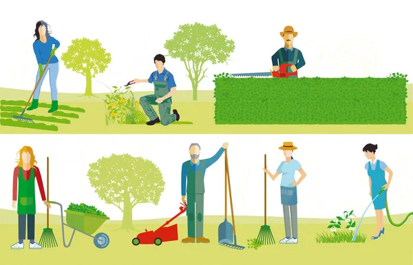 Les Jardiniers Travaillent Dans Jardin — Image vectorielle