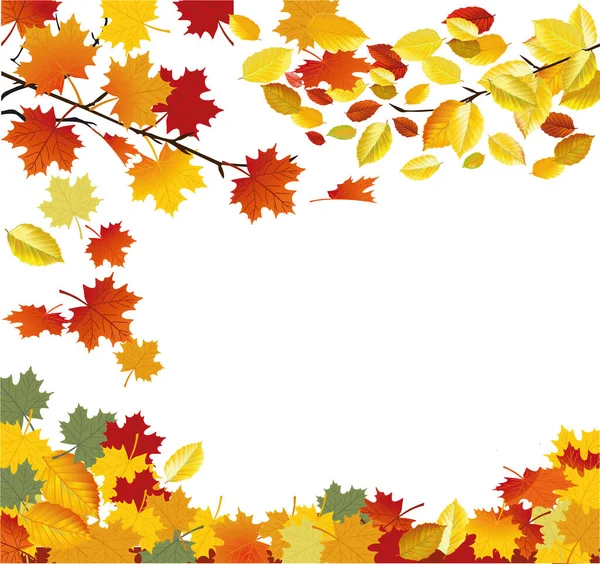 Autumn Beauty Falling Leaves Frame Vector Illustration — Stock Vector