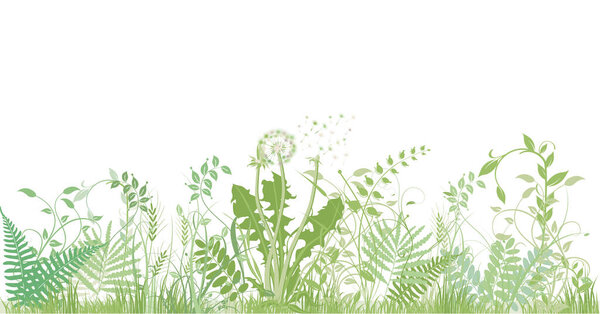 green grasses, plants and herbs