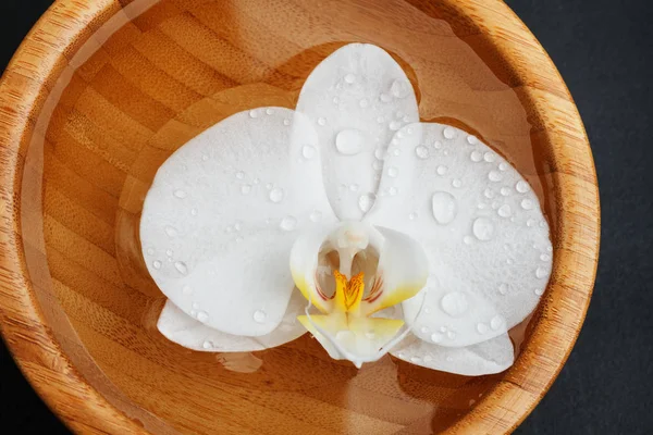 Orquídea blanca flotando en cuenco de madera —  Fotos de Stock