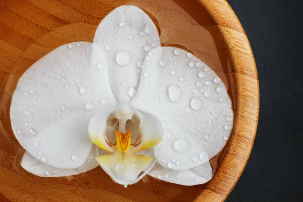 White orchid floating in bamboo bowl — Stock Photo, Image