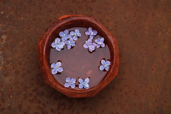 Pétalas de flores de lilás flutuando em uma tigela de água — Fotografia de Stock