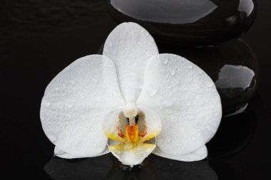 çakıl taşları ve beyaz Dengeleme ile spa sakin sahne kavramı