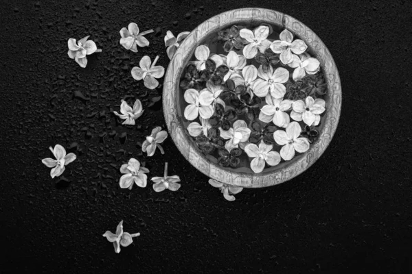 Foto en blanco y negro arte de flores flotantes de lila en un tazón —  Fotos de Stock
