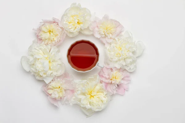 Peonías y taza de té sobre fondo blanco —  Fotos de Stock