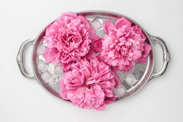 Three Pink Peony Flowers Ice Metal Tray White Background Top — Stock Photo, Image