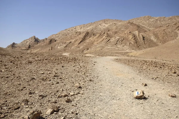 Sentier vers le mur d'ammonites — Photo