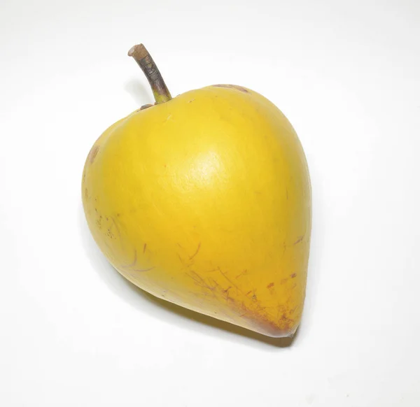 De lucuma (canistel) — Stockfoto