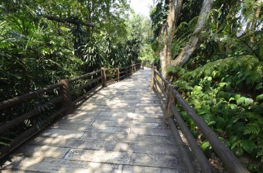 Doi Tung Royal Villa