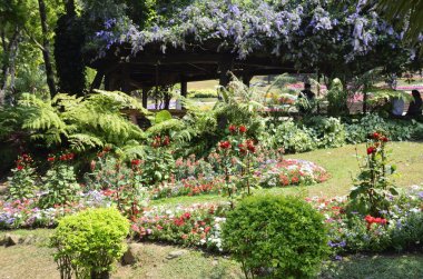 Doi Tung Royal Villa