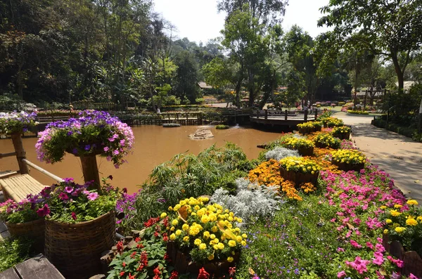 Doi Tung Royal Villa — 스톡 사진