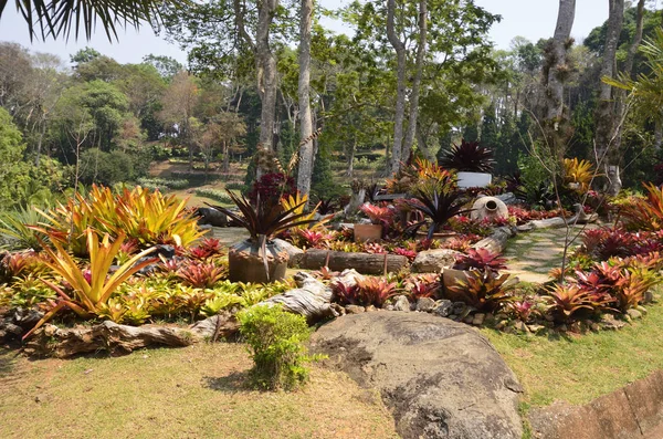 Doi Tung Royal Villa Stockfoto