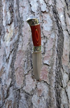 Büyük dekoratif bıçak