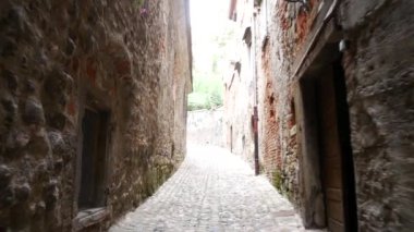 Ptuj Slovenya Şehir Müzesi 