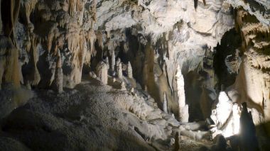 mağaradan, Postojna