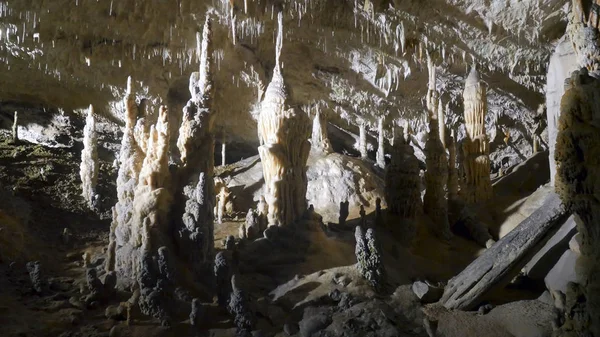 mağaradan, Postojna