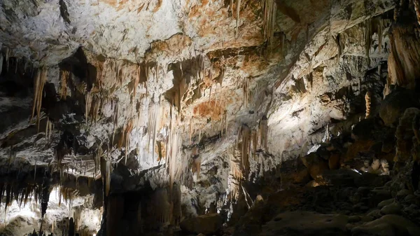 mağaradan, Postojna