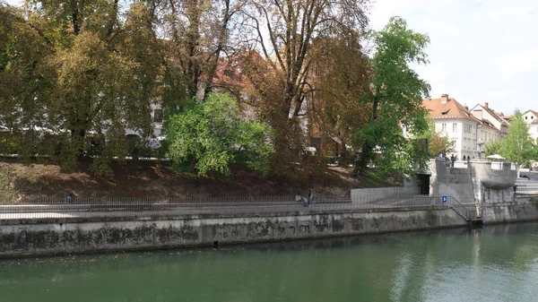 Dæmning af Ljubljanica-floden - Stock-foto