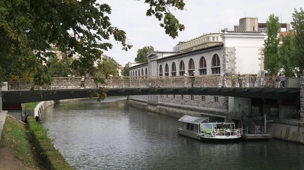 Sevgili Ljubljanica Nehri'nin raylar üzerinde kilitleri ile köprü 