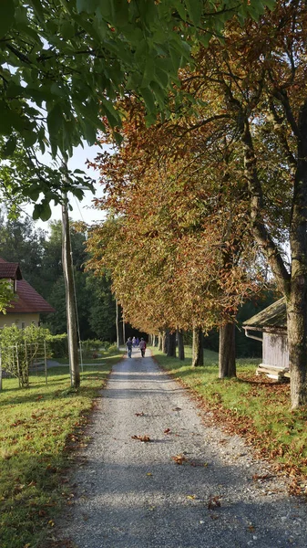 Wanderweg für Touristen — Stockfoto