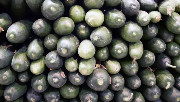 Contatore di verdure con cetrioli — Foto Stock