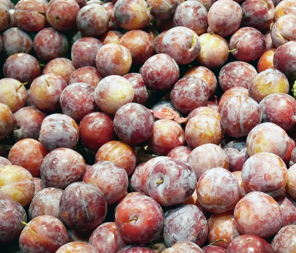 Frutta prugna rossa — Foto Stock