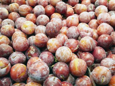 meyve Erik kırmızı