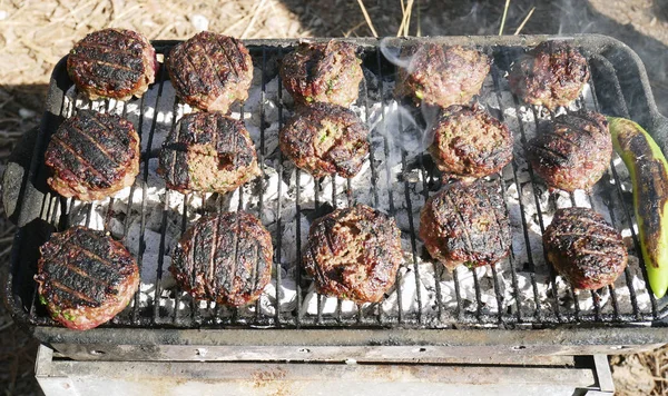 Churrasco para um piquenique — Fotografia de Stock