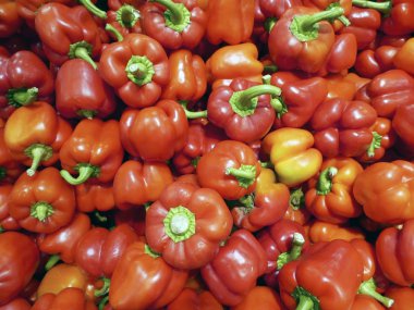 Kırmızı tatlı biber