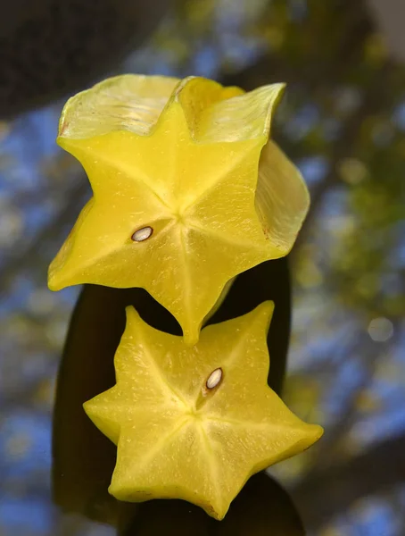 Fruto de carambola em forma de estrela de seis raios — Fotografia de Stock