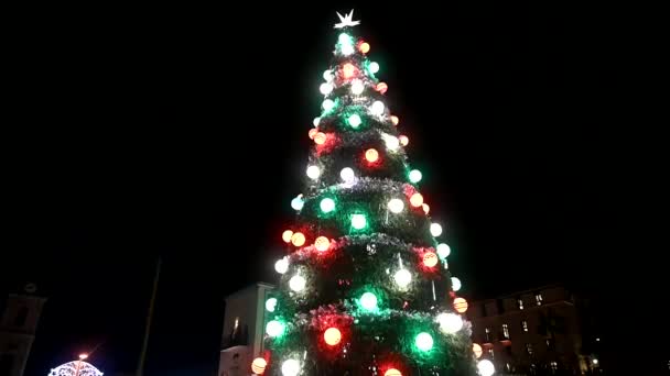 Jaffa Árvore Natal Uma Verdadeira Árvore Sempre Verde Criada Decorada — Vídeo de Stock