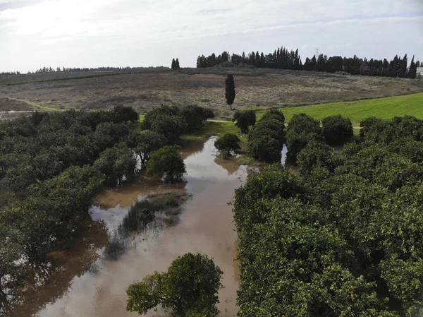 Inundación en el jardín naranja — Foto de Stock