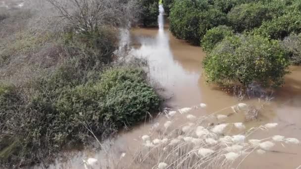 Şiddetli Yağmurdan Sonra Portakal Bahçesini Sel Bastı — Stok video