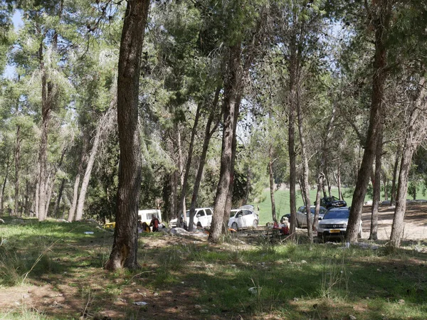 The Shields Forest rest area and parking is the Jewish National Fund\'s forest, covering an area of 3,500 dunums, between the towns of Karmi Yosef and Kfar Ben Nun in the north and Baka and Nachshon in the south.