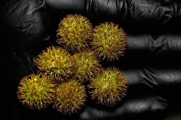 Fruit Tree Oriental Flat Looks Ball Surrounded Convex Dull Spikes — Stock Photo, Image