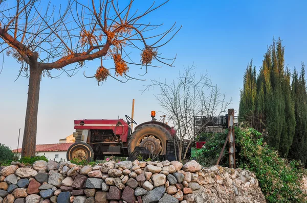 Gammal traktor stående under torra träd på gården. Royaltyfria Stockbilder
