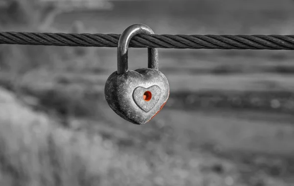 Heart shaped padlock on metal cable in black and white. — Stock Photo, Image