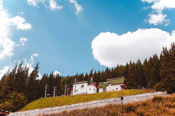 Épületek, zöld erdő — Stock Fotó