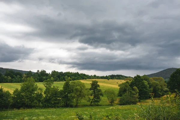 Prachtige Natuur Achtergrond Met Groene Bomen Weilanden — Stockfoto